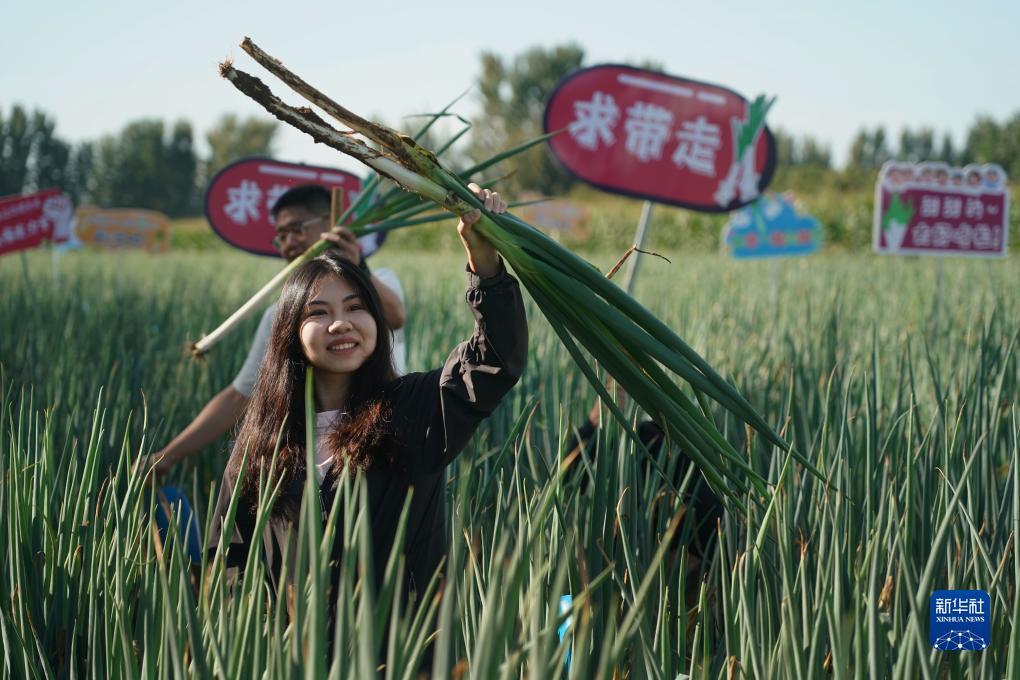 太阳集团7237网站